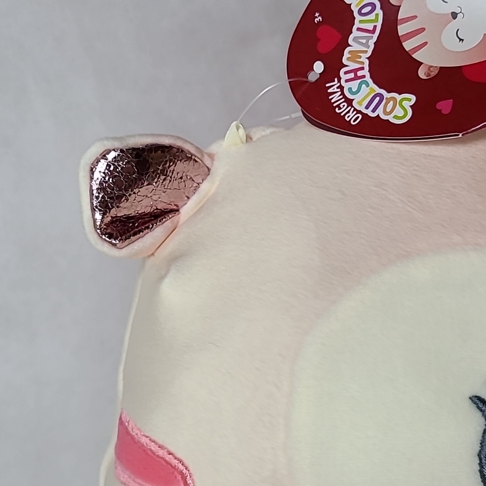 "Lane" the peach squirrel V-Day 2023 Squishmallows NWT 11" - Picture 3 of 5